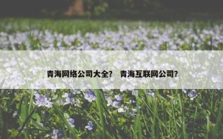 青海网络公司大全？ 青海互联网公司？