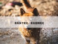 青岛多个优化，青岛官网优化