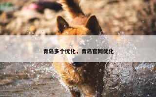 青岛多个优化，青岛官网优化