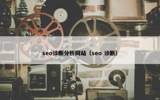 seo诊断分析网站（seo 诊断）