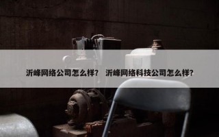 沂峰网络公司怎么样？ 沂峰网络科技公司怎么样？