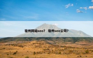 宿州网站seo？ 宿州seo公司？