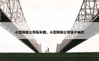 小型网络公司拓补图，小型网络公司是干嘛的