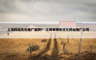 上海网站优化推广案例？ 上海有哪些优化网站推广公司？