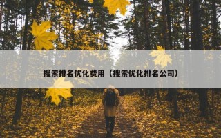 搜索排名优化费用（搜索优化排名公司）