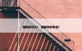 酒酿饼优化？ 酒酿饼的用途？