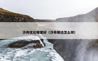 沙井优化哪里好（沙井那边怎么样）