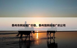泰州市网站推广价格，泰州做网络推广的公司