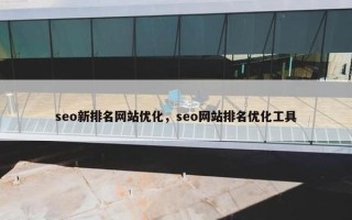seo新排名网站优化，seo网站排名优化工具