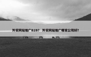 外贸网站推广B2B？ 外贸网站推广哪家公司好？