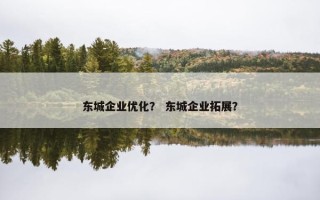 东城企业优化？ 东城企业拓展？