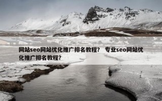 网站seo网站优化推广排名教程？ 专业seo网站优化推广排名教程？