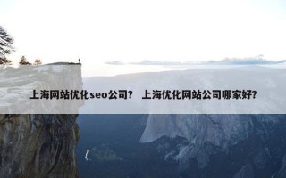 上海网站优化seo公司？ 上海优化网站公司哪家好？