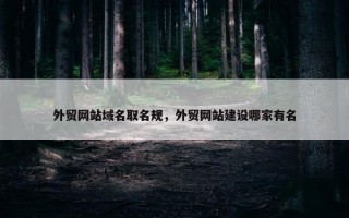 外贸网站域名取名规，外贸网站建设哪家有名