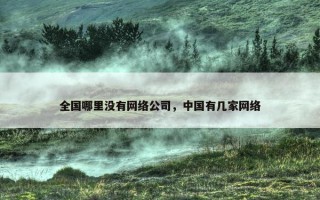 全国哪里没有网络公司，中国有几家网络