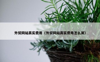 外贸网站真实费用（外贸网站真实费用怎么算）