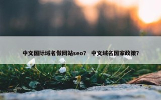 中文国际域名做网站seo？ 中文域名国家政策？