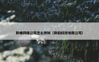 聆曦网络公司怎么样知（聆韵科技有限公司）