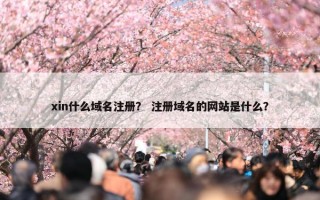 xin什么域名注册？ 注册域名的网站是什么？