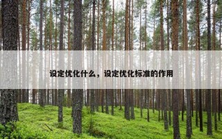 设定优化什么，设定优化标准的作用