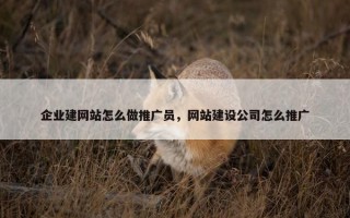 企业建网站怎么做推广员，网站建设公司怎么推广