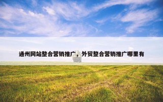 通州网站整合营销推广，外贸整合营销推广哪里有