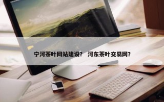 宁河茶叶网站建设？ 河东茶叶交易网？
