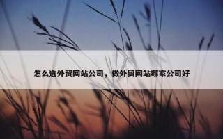怎么选外贸网站公司，做外贸网站哪家公司好