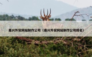 嘉兴外贸网站制作公司（嘉兴外贸网站制作公司排名）