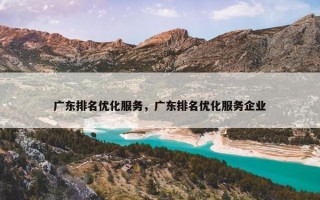 广东排名优化服务，广东排名优化服务企业
