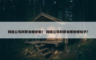 网络公司利弊有哪些呢？ 网络公司利弊有哪些呢知乎？