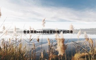 包含渭南seo网站营销推广的词条