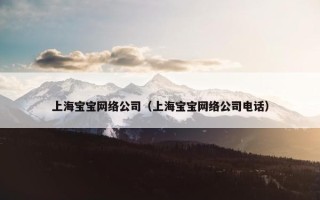 上海宝宝网络公司（上海宝宝网络公司电话）
