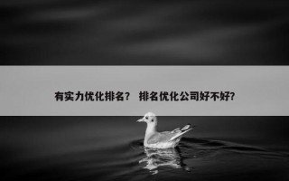 有实力优化排名？ 排名优化公司好不好？