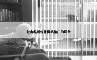 包含临沂优化网站推广的词条