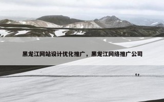黑龙江网站设计优化推广，黑龙江网络推广公司