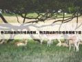 物流网站制作价格表模板，物流网站制作价格表模板下载