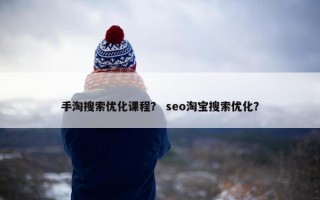 手淘搜索优化课程？ seo淘宝搜索优化？