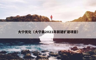 大宁优化（大宁县2021年新建扩建项目）