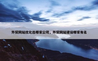 外贸网站优化选哪家公司，外贸网站建设哪家有名