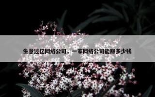 生意过亿网络公司，一家网络公司能赚多少钱