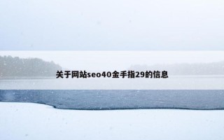 关于网站seo40金手指29的信息
