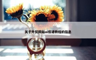 关于外贸网站ai搭建教程的信息