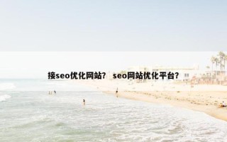接seo优化网站？ seo网站优化平台？