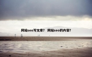 网站seo写文章？ 网站seo的内容？