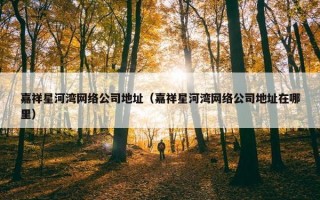 嘉祥星河湾网络公司地址（嘉祥星河湾网络公司地址在哪里）