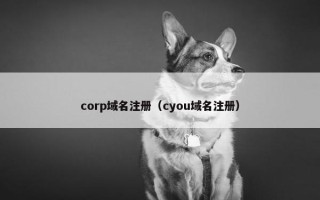 corp域名注册（cyou域名注册）