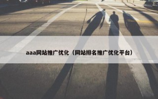 aaa网站推广优化（网站排名推广优化平台）