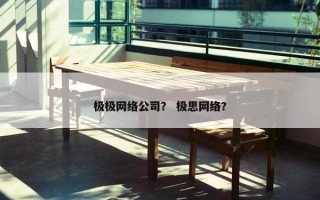 极极网络公司？ 极思网络？