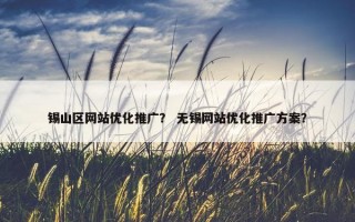 锡山区网站优化推广？ 无锡网站优化推广方案？